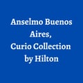 Anselmo Buenos Aires, Curio Collection by Hilton's avatar