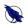 Blue Raven - Craft Beer & Cocktails's avatar
