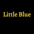 LITTLE BLUE's avatar