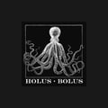 Holus Bolus & The Joy Fantastic's avatar