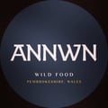 Annwn's avatar