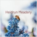 Heidrun Meadery's avatar