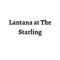 Lantana at The Starling's avatar