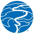 Tennessee Aquarium's avatar