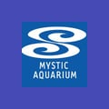 Mystic Aquarium's avatar