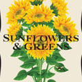 Sunflowers & Greens's avatar
