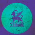 Tribaun's avatar