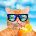 Bad Kitty Lounge's avatar