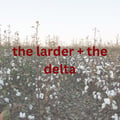 The larder + the delta's avatar