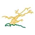 Pikewood National Golf Club's avatar