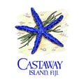 Castaway Island, Fiji's avatar