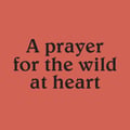 A Prayer for the Wild at Heart's avatar