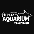 Ripley's Aquarium of Canada's avatar