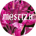 Mestiza's avatar