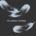 Plumed Horse's avatar