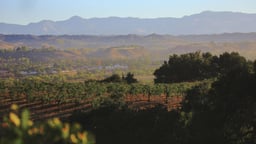 Santa Barbara Wine Country: The Best Places to Eat, Stay and Sip in the Santa Ynez Valley