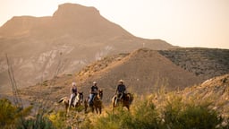 7 Southern Getaways for Horse Lovers