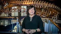 New Bedford Whaling Museum tells the story of more than one long-ago industry - Boston Business Journal