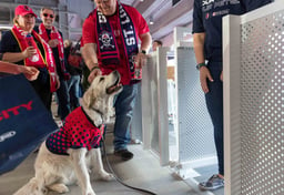 Purina Shares Six Tips for Designing Dog-friendly Experiences