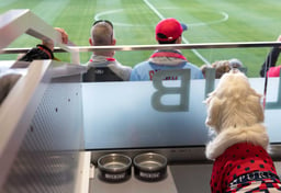 How the Purina Club is Accommodating Dogs at an MLS Stadium