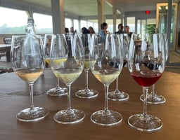 How To Survive A Day Of Wine Tastings On Long Island