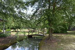 Hidden Gem: Green Frog Farm