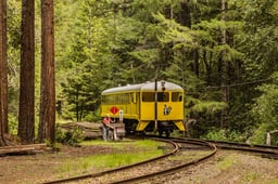 There's a Secret Bar in California's Redwood Forest — and the Only Way to Get There Is by Vintage Train