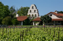 Los Olivos Is the Under-the-Radar Wine Town You Need to Visit This Year