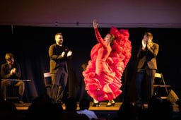 This Authentic Flamenco Show In Minneapolis Closes Soon