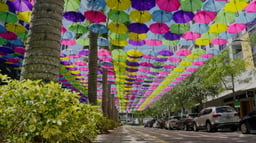 34 Fabulous Things To Do This May 2023 In Miami