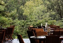 The Best Restaurants in Nairobi