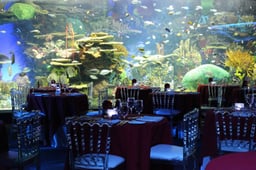 Ripley’s Aquarium Is Hosting A Romantic Valentine’s Dinner Under The Sea