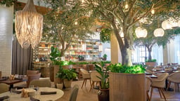 Chicago-based Hospitality Group Brings Mediterranean Restaurant To Wedgewood-Houston
