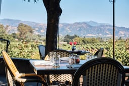 One Of The Best Celebrity-Owned Restaurants Is At A Beautiful Sonoma Winery