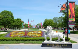 Brookfield Zoo Chicago To Unveil Towering New Ferris Wheel Tomorrow For 90th Anniversary Celebrations