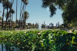 Best Parks in Los Angeles, From Griffith Park to Grand Park
