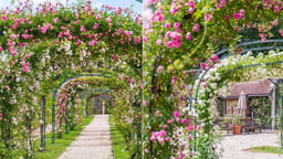 At the gates of Paris is the oldest Rose Garden in the world, the promise of an enchanted stroll