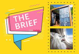 The Brief: Denim Cafés, Scented Billboards and BARK Air
