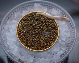 Beyond The Pina Colada: Champagne And Caviar At Condado Vanderbilt