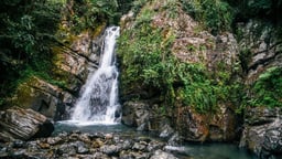 These Lavish Puerto Rican Hotels Are Working To Preserve El Yunque