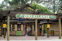 How You Can Spend The Night At The Zoo: Your Ultimate Guide