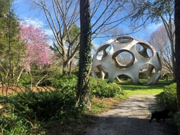 Llewellyn Sánchez-Werner Classical Concert at LongHouse Reserve