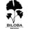 Biloba Brewing Company's avatar
