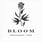 Bloom Restaurant + Bar's avatar