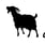 Tail Up Goat's avatar