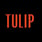 Tulip Pasta & Wine Bar's avatar