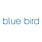 Blue Bird NYC's avatar