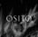 Osito's avatar