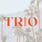 Trio Restaurant's avatar