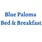 Blue Paloma Bed & Breakfast's avatar